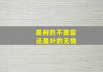 是树的不挽留 还是叶的无情